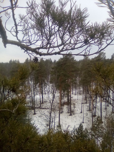 Иван Комов | Воронеж