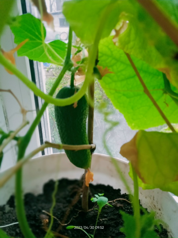 Оксана Прокопьева | Чебоксары