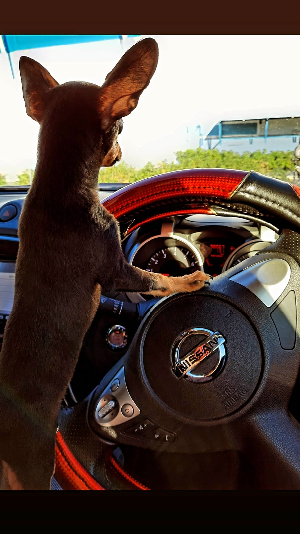 Жанна Журавлева | Комсомольск-на-Амуре