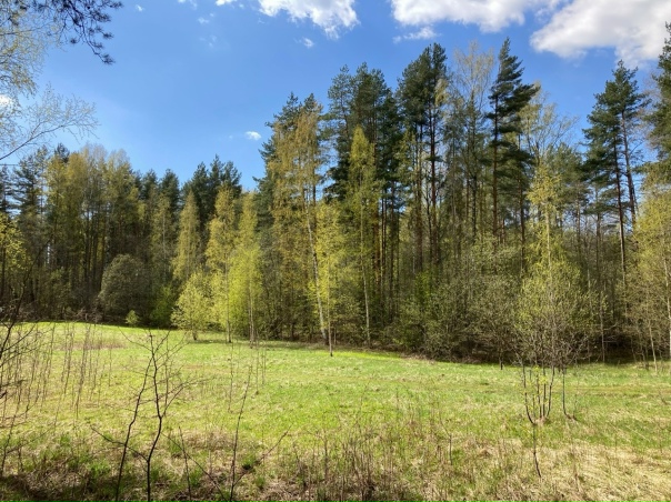 С Праздником Великой Победы!