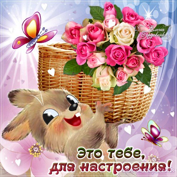 Светлана Лозинская | Санкт-Петербург