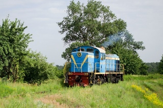 ТГМ4А-1795 резервом на станции Черниговской ТЭЦ