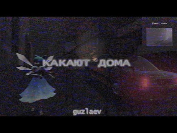 gulzaev Какают