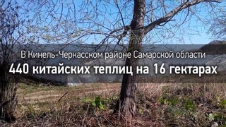 Опасный сосед Китай, земли Русской беда