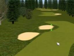 Spooneys Golf Green 5