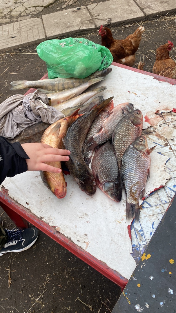 Николай Бахарев | Саров