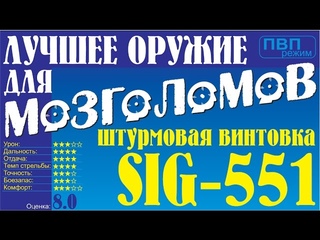Лучшее оружие для мозголомов: Sig-551