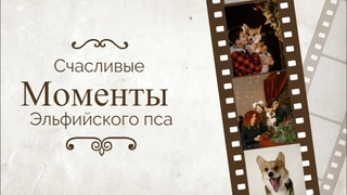Каманда из Гарри Потера АвадаКетавра, как ее делает Снегг